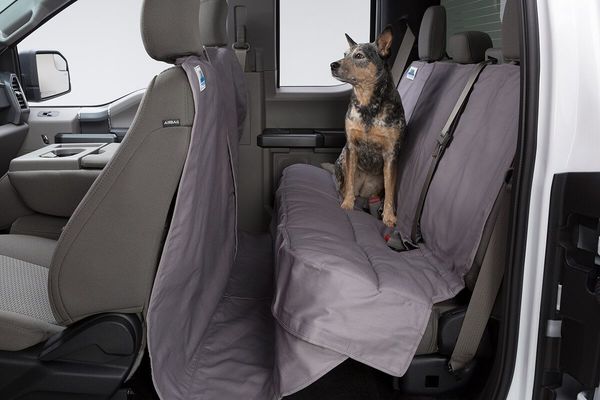 Seat protector for dogs