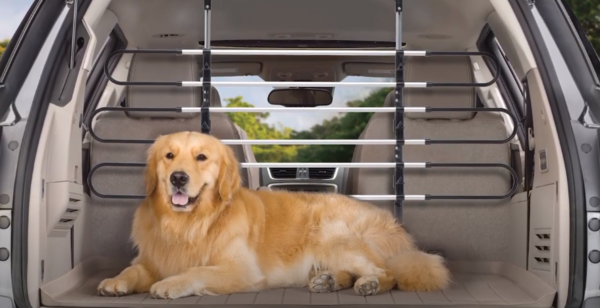 Metal Pet Barrier / Dog Divider