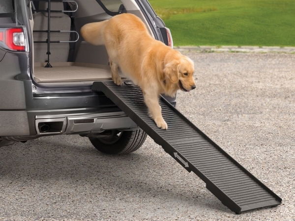 High-Traction Foldable Pet Ramp